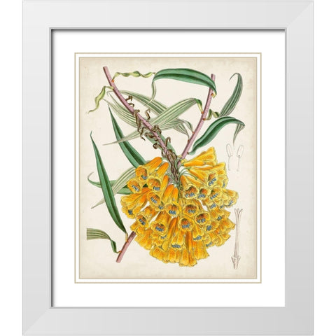 Delicate Tropicals VI White Modern Wood Framed Art Print with Double Matting by Curtis