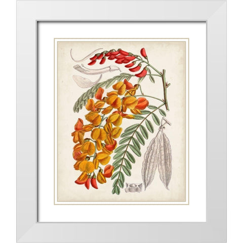 Delicate Tropicals IX White Modern Wood Framed Art Print with Double Matting by Curtis