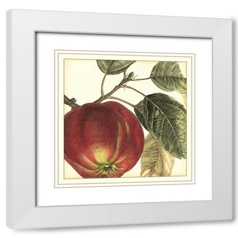 Graphic Apple White Modern Wood Framed Art Print with Double Matting by Vision Studio