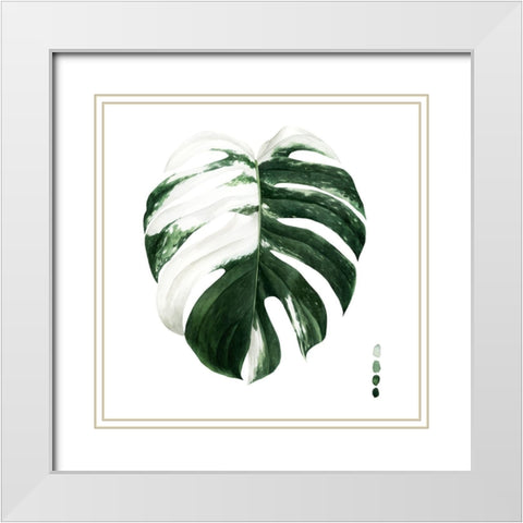 Variegated Monstera II White Modern Wood Framed Art Print with Double Matting by Popp, Grace