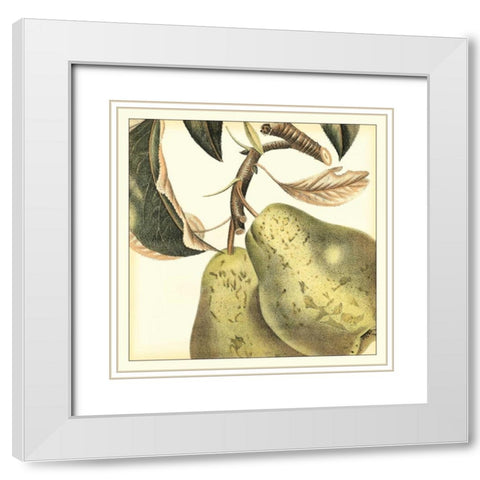 Graphic Pear White Modern Wood Framed Art Print with Double Matting by Vision Studio