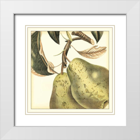 Graphic Pear White Modern Wood Framed Art Print with Double Matting by Vision Studio