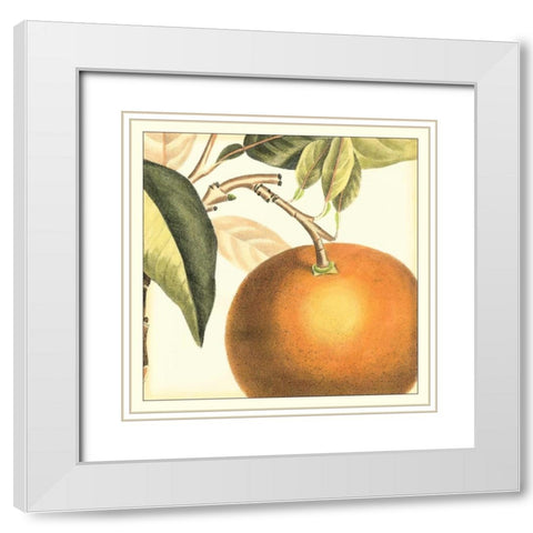 Graphic Orange White Modern Wood Framed Art Print with Double Matting by Vision Studio