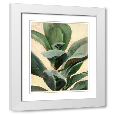 Plant Study II White Modern Wood Framed Art Print with Double Matting by Warren, Annie