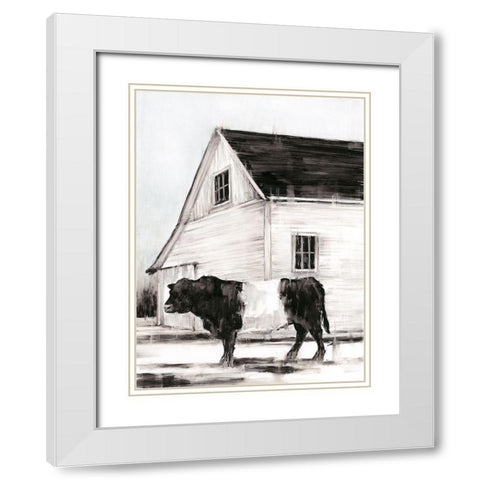 Belted Galloway II White Modern Wood Framed Art Print with Double Matting by Harper, Ethan
