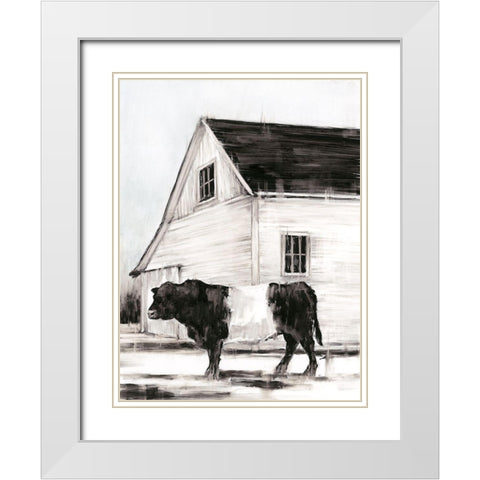 Belted Galloway II White Modern Wood Framed Art Print with Double Matting by Harper, Ethan