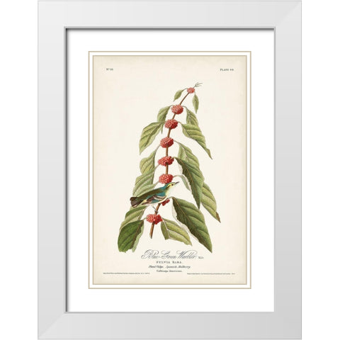 Pl. 49 Blue- Green Warbler White Modern Wood Framed Art Print with Double Matting by Audubon, John James