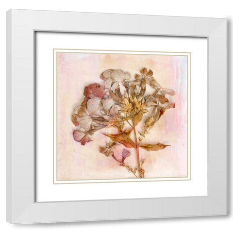 Remembered Flowers III White Modern Wood Framed Art Print with Double Matting by Stalus, Judy