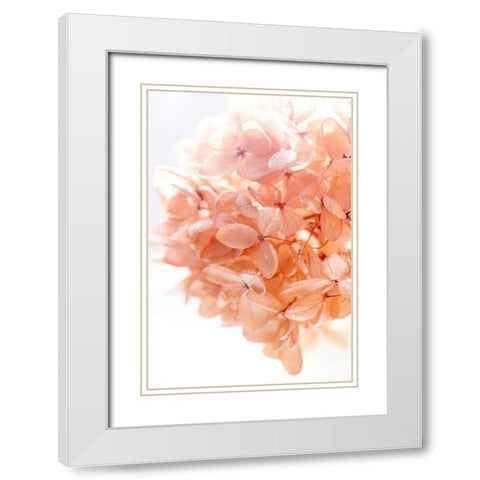 Sunny Morning I White Modern Wood Framed Art Print with Double Matting by Stalus, Judy