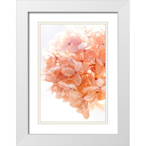 Sunny Morning I White Modern Wood Framed Art Print with Double Matting by Stalus, Judy