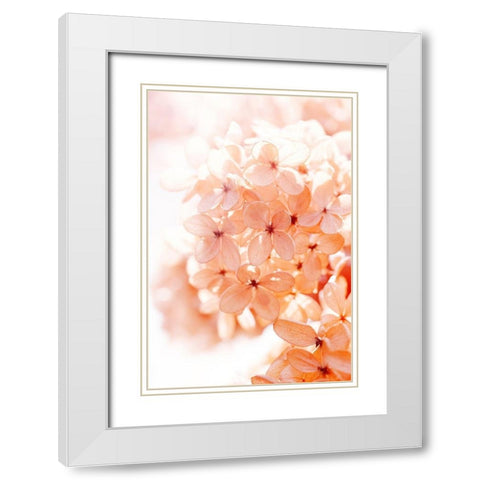 Sunny Morning II White Modern Wood Framed Art Print with Double Matting by Stalus, Judy