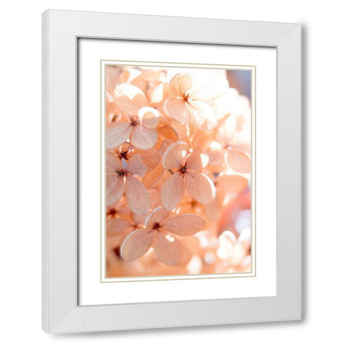 Sunny Morning III White Modern Wood Framed Art Print with Double Matting by Stalus, Judy