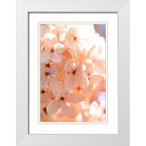 Sunny Morning III White Modern Wood Framed Art Print with Double Matting by Stalus, Judy