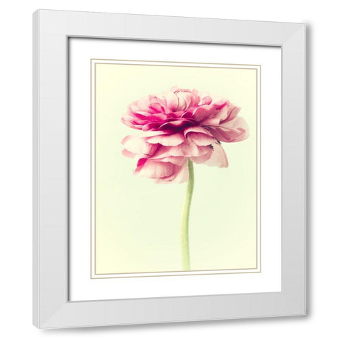 Lush Botanical I White Modern Wood Framed Art Print with Double Matting by Stalus, Judy