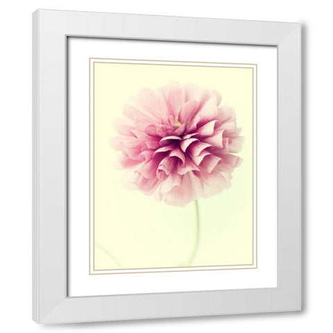 Lush Botanical III White Modern Wood Framed Art Print with Double Matting by Stalus, Judy