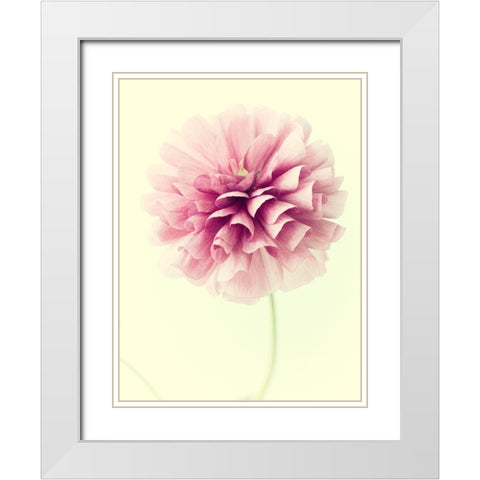 Lush Botanical III White Modern Wood Framed Art Print with Double Matting by Stalus, Judy