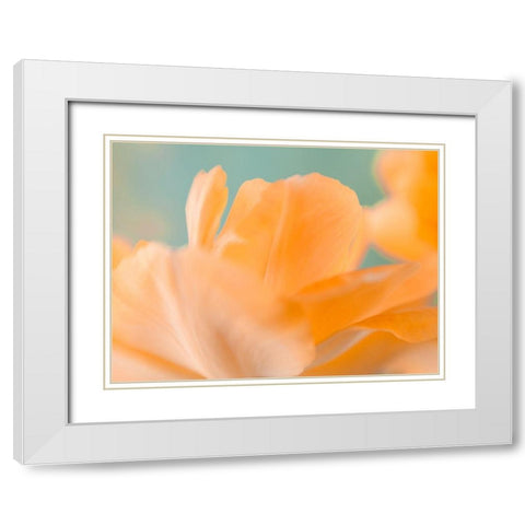 Double Vision I White Modern Wood Framed Art Print with Double Matting by Stalus, Judy