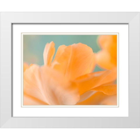 Double Vision I White Modern Wood Framed Art Print with Double Matting by Stalus, Judy