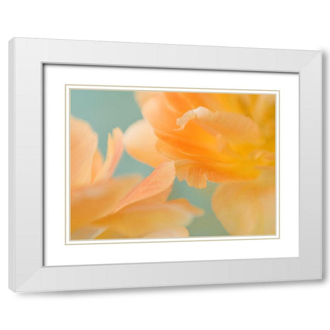 Double Vision II White Modern Wood Framed Art Print with Double Matting by Stalus, Judy