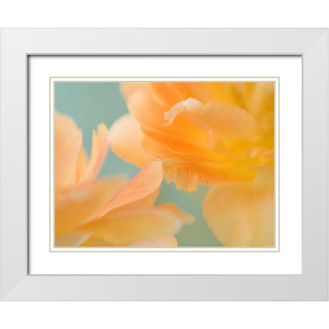 Double Vision II White Modern Wood Framed Art Print with Double Matting by Stalus, Judy