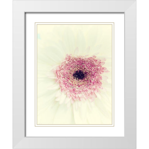 Flowers Aglow II White Modern Wood Framed Art Print with Double Matting by Stalus, Judy