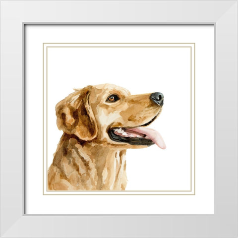 Pet Profile II White Modern Wood Framed Art Print with Double Matting by Barnes, Victoria