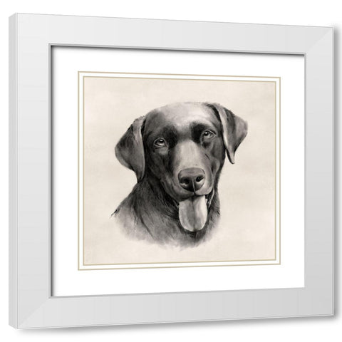 Charcoal Labrador I White Modern Wood Framed Art Print with Double Matting by Popp, Grace
