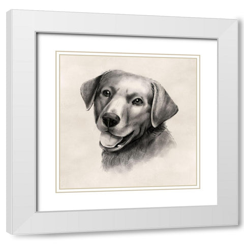 Charcoal Labrador II White Modern Wood Framed Art Print with Double Matting by Popp, Grace