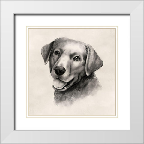 Charcoal Labrador II White Modern Wood Framed Art Print with Double Matting by Popp, Grace
