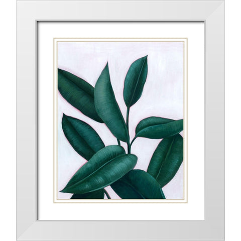 Verdant Ficus II White Modern Wood Framed Art Print with Double Matting by Popp, Grace