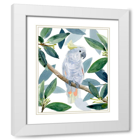 Cockatoo Perch I White Modern Wood Framed Art Print with Double Matting by Warren, Annie