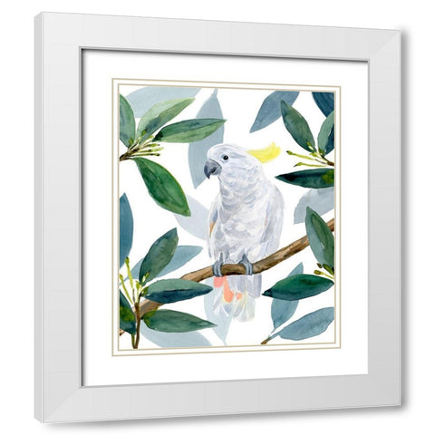 Cockatoo Perch II White Modern Wood Framed Art Print with Double Matting by Warren, Annie