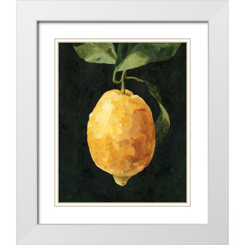Dark Lemon I White Modern Wood Framed Art Print with Double Matting by Caroline, Emma