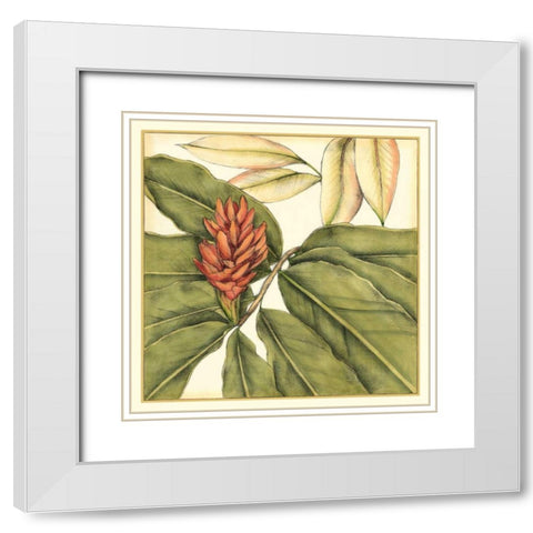 Tropical Blooms and Foliage II White Modern Wood Framed Art Print with Double Matting by Goldberger, Jennifer