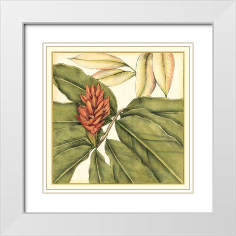 Tropical Blooms and Foliage II White Modern Wood Framed Art Print with Double Matting by Goldberger, Jennifer