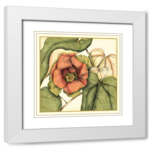 Tropical Blooms and Foliage IV White Modern Wood Framed Art Print with Double Matting by Goldberger, Jennifer