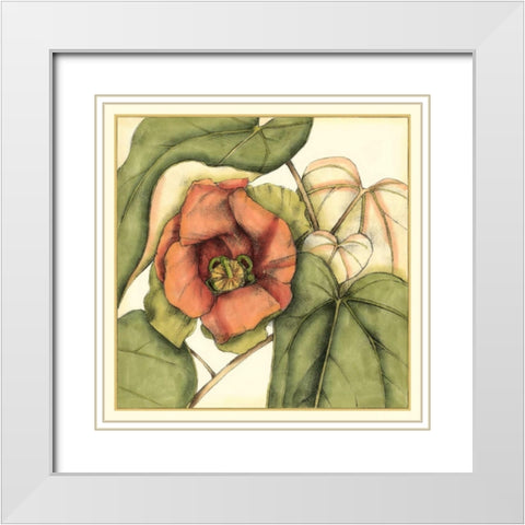 Tropical Blooms and Foliage IV White Modern Wood Framed Art Print with Double Matting by Goldberger, Jennifer