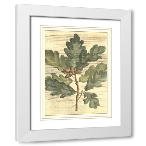 Weathered Oak Leaves I White Modern Wood Framed Art Print with Double Matting by DeShayes, Gerard Paul
