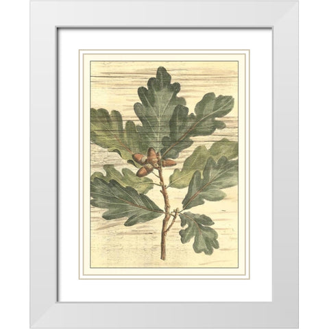 Weathered Oak Leaves I White Modern Wood Framed Art Print with Double Matting by DeShayes, Gerard Paul