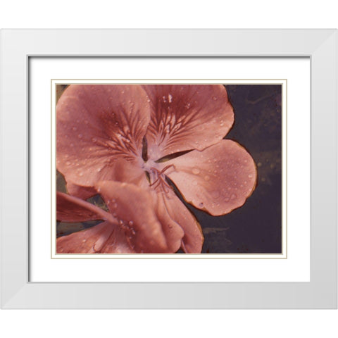 Garden Geraniums I White Modern Wood Framed Art Print with Double Matting by Green, Jacob