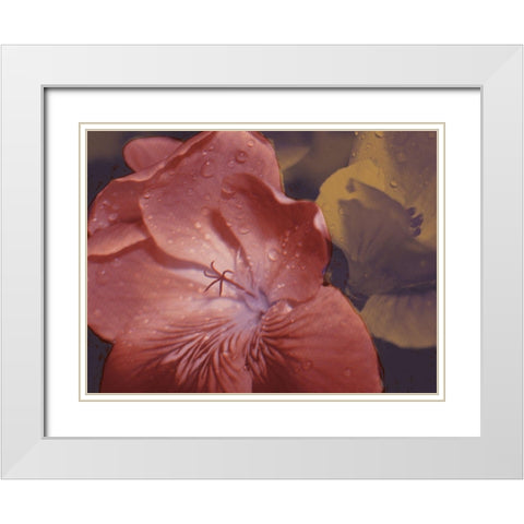 Garden Geraniums II White Modern Wood Framed Art Print with Double Matting by Green, Jacob