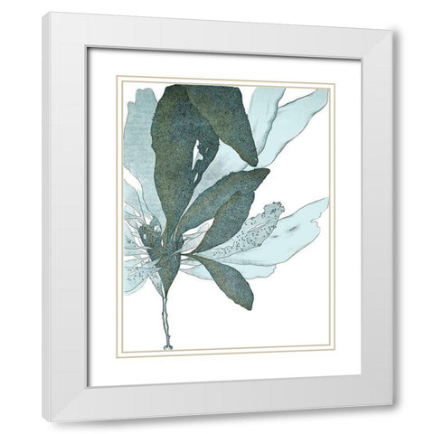 Seaside Seaweed I White Modern Wood Framed Art Print with Double Matting by Vision Studio