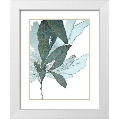 Seaside Seaweed I White Modern Wood Framed Art Print with Double Matting by Vision Studio