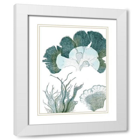 Seaside Seaweed II White Modern Wood Framed Art Print with Double Matting by Vision Studio