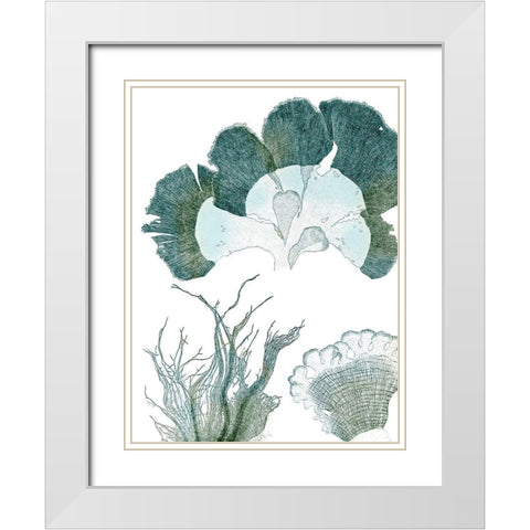 Seaside Seaweed II White Modern Wood Framed Art Print with Double Matting by Vision Studio