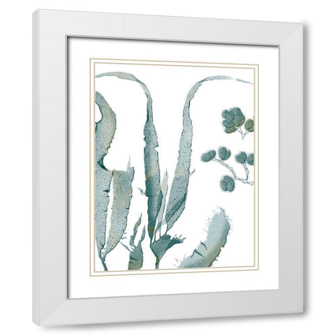 Seaside Seaweed III White Modern Wood Framed Art Print with Double Matting by Vision Studio