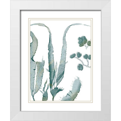 Seaside Seaweed III White Modern Wood Framed Art Print with Double Matting by Vision Studio