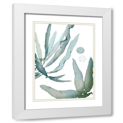 Seaside Seaweed IV White Modern Wood Framed Art Print with Double Matting by Vision Studio