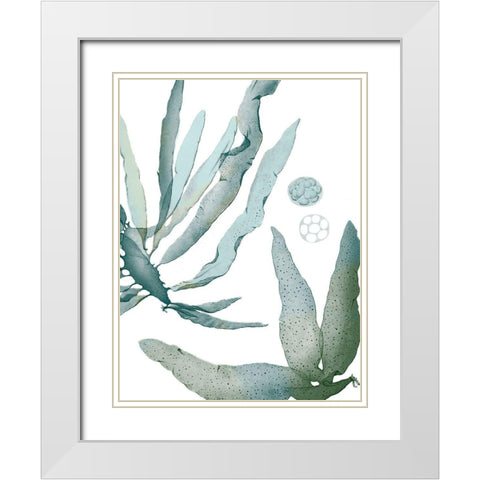 Seaside Seaweed IV White Modern Wood Framed Art Print with Double Matting by Vision Studio