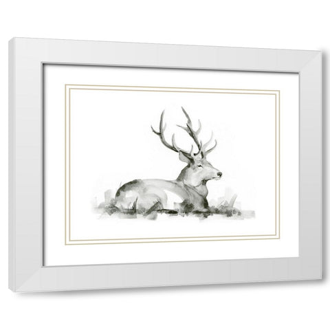 Recumbent Stag I White Modern Wood Framed Art Print with Double Matting by Green, Jacob
